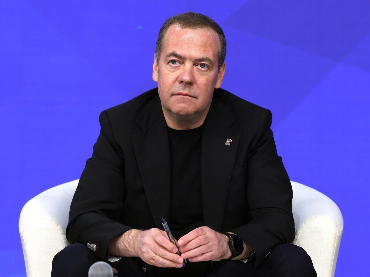    Председатель партии "Единая Россия", заместитель председателя Совета безопасности РФ Дмитрий Медведев на встрече с руководителями исполнительных комитетов региональных отделений партии "Единая Россия"© РИА Новости / Екатерина Штукина