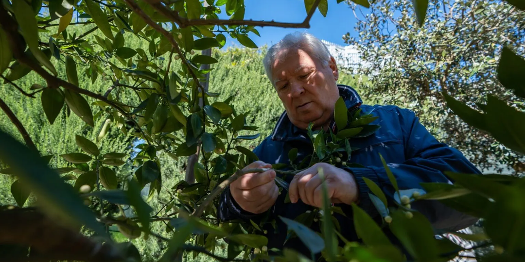 На страницах журнала «Вестник АПК» будет опубликовано эксклюзивное интервью с Виктором Хлыстуном
