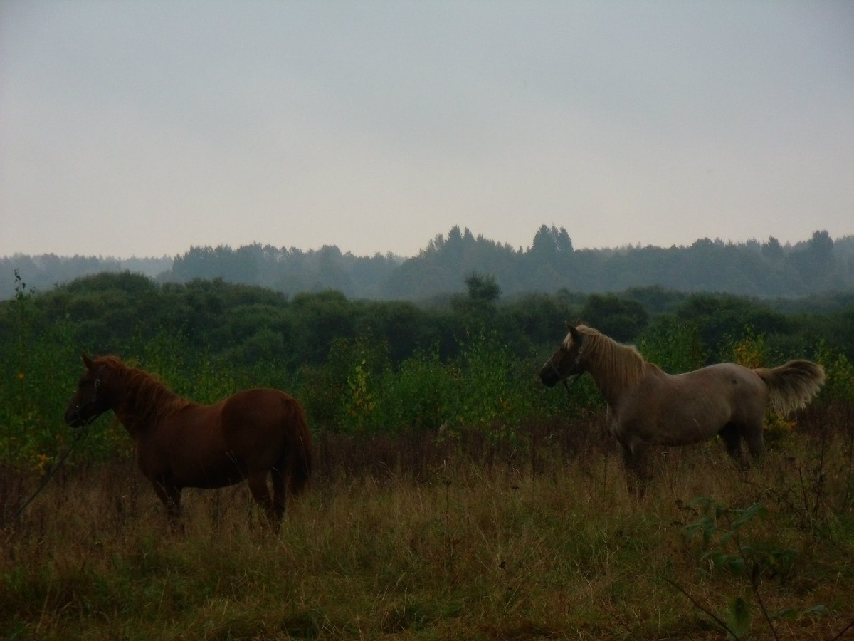 На съемках фильма "Батальон"