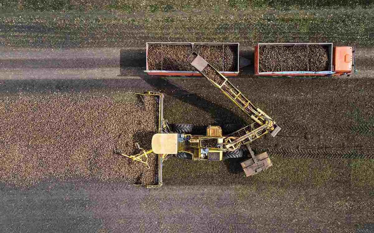    Группе компаний «Продимекс» исполняется 33 года Фото – ГК «Продимекс»