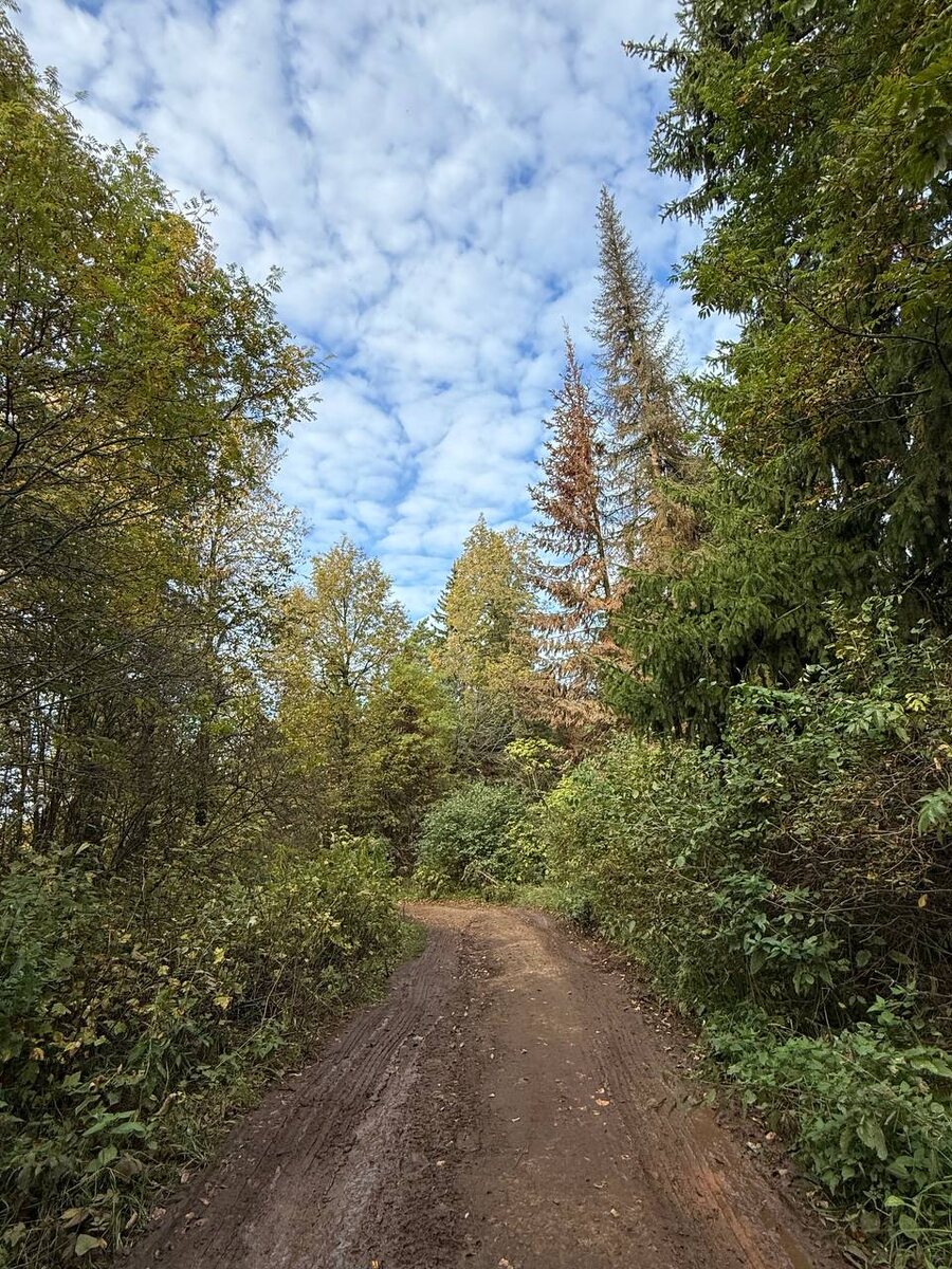 Пермь. Гляденовская гора. Источник Трифона Вятского. Ходим-едем