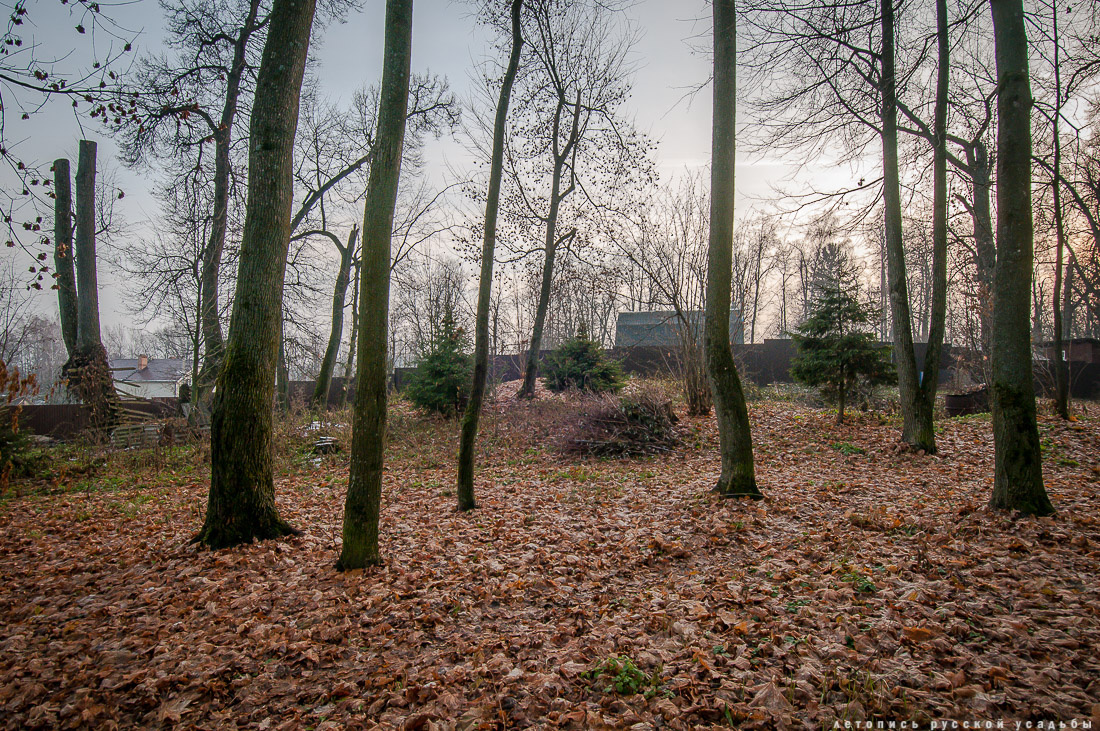 Фото Вадима Разумова от 04.11.2014, блог "Летопись Русской Усадьбы"  