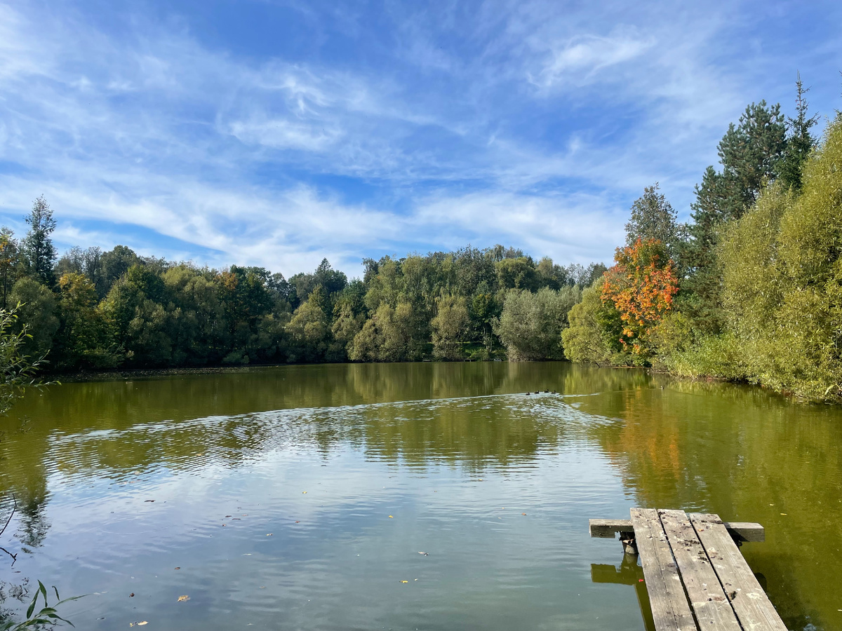 Сохранившийся усадебный пруд