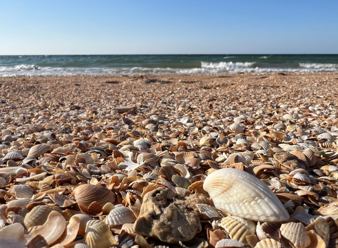 Азовское море. Крым