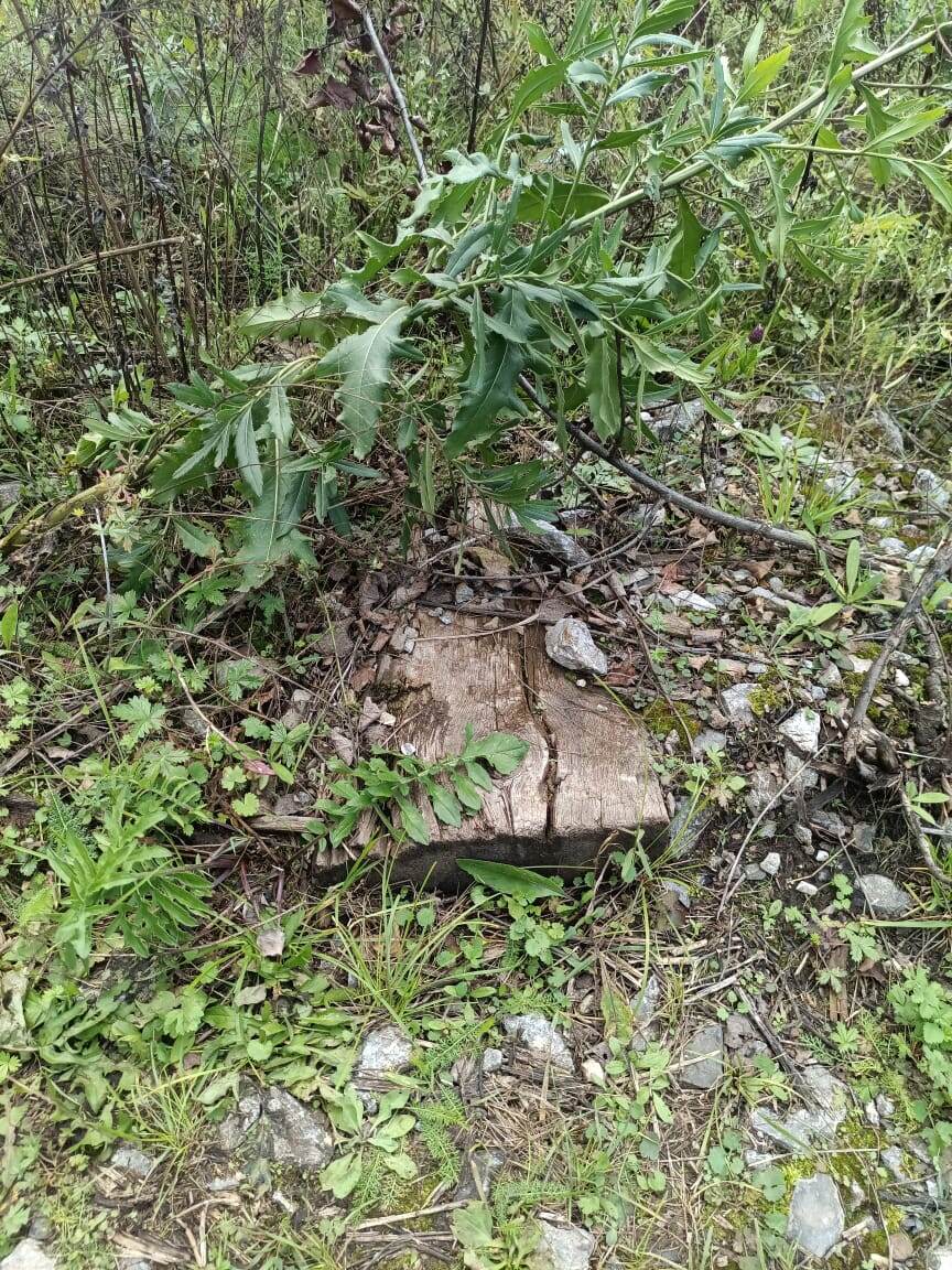 Старая шпала