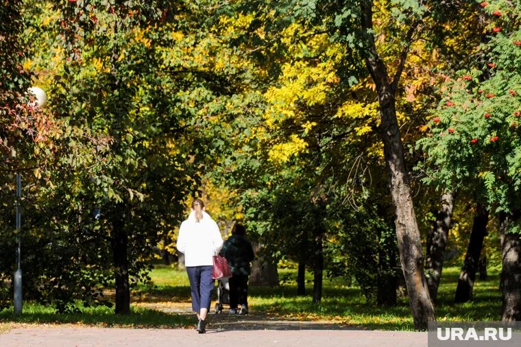 На этой неделе в России начнется метеорологическая осень. Фото: Вадим Ахметов © URA.RU