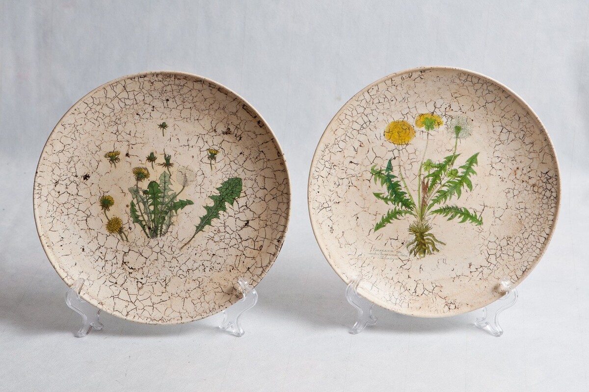 Фотография из сети Интернет