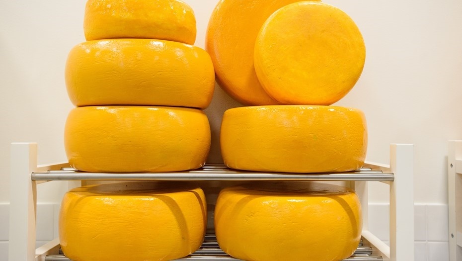    Автор фото: Ермохин Сергей/"ДП"