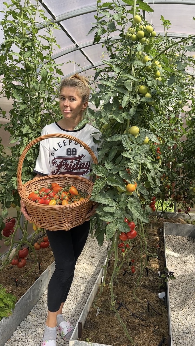 Урожаи без минеральных удобрений возможны