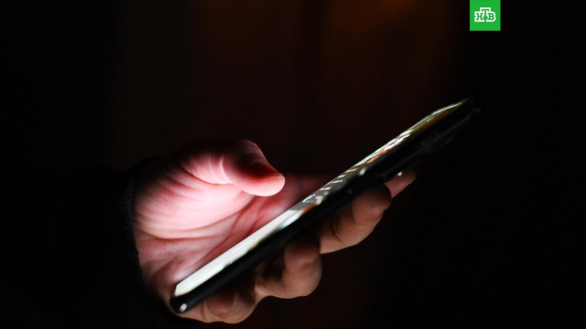    Фото: РИА Новости © 2025, Владимир Астапкович