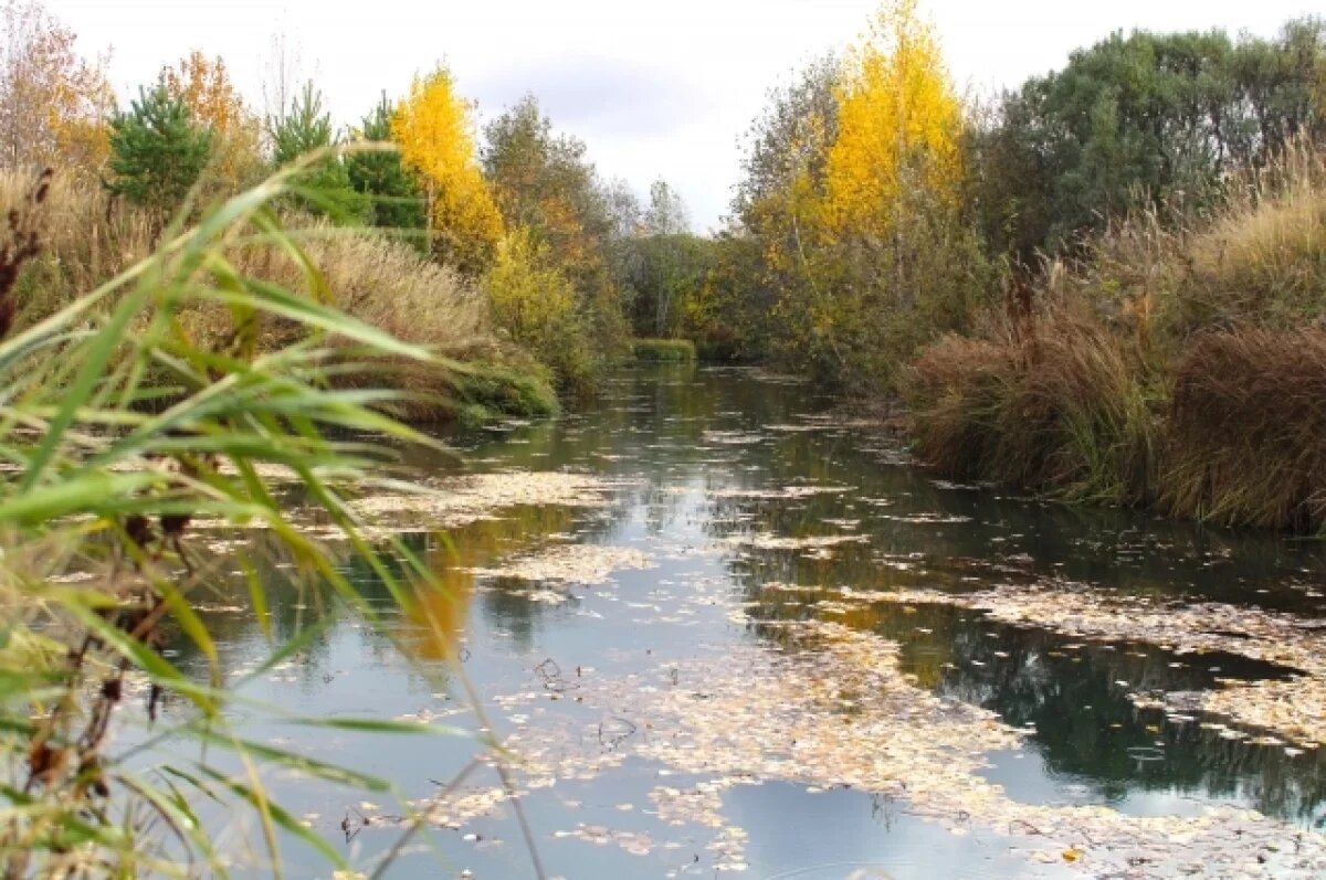    В Новосибирской области после бабьего лета придут заморозки и похолодание