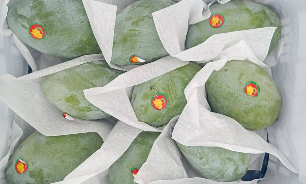    Фото t.me/rsn_yug