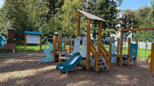    В Кирове выросло «Чудо-дерево» с книгами вместо листьев