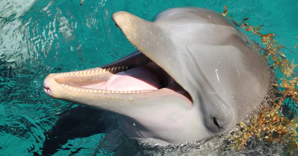 Фото: darin ashby / Unsplash