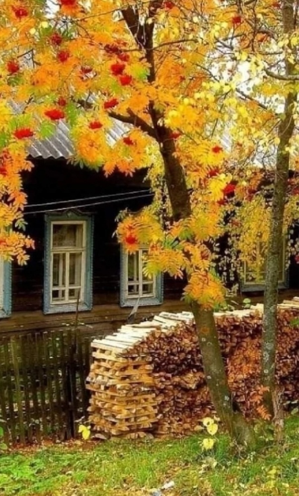 Фото из интернета 