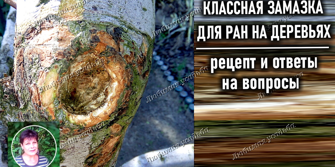 Замазка для старых и свежих ран и спилов на плодовых деревьях на основе масла и глины. Рецепт и ответы на ваши вопросы