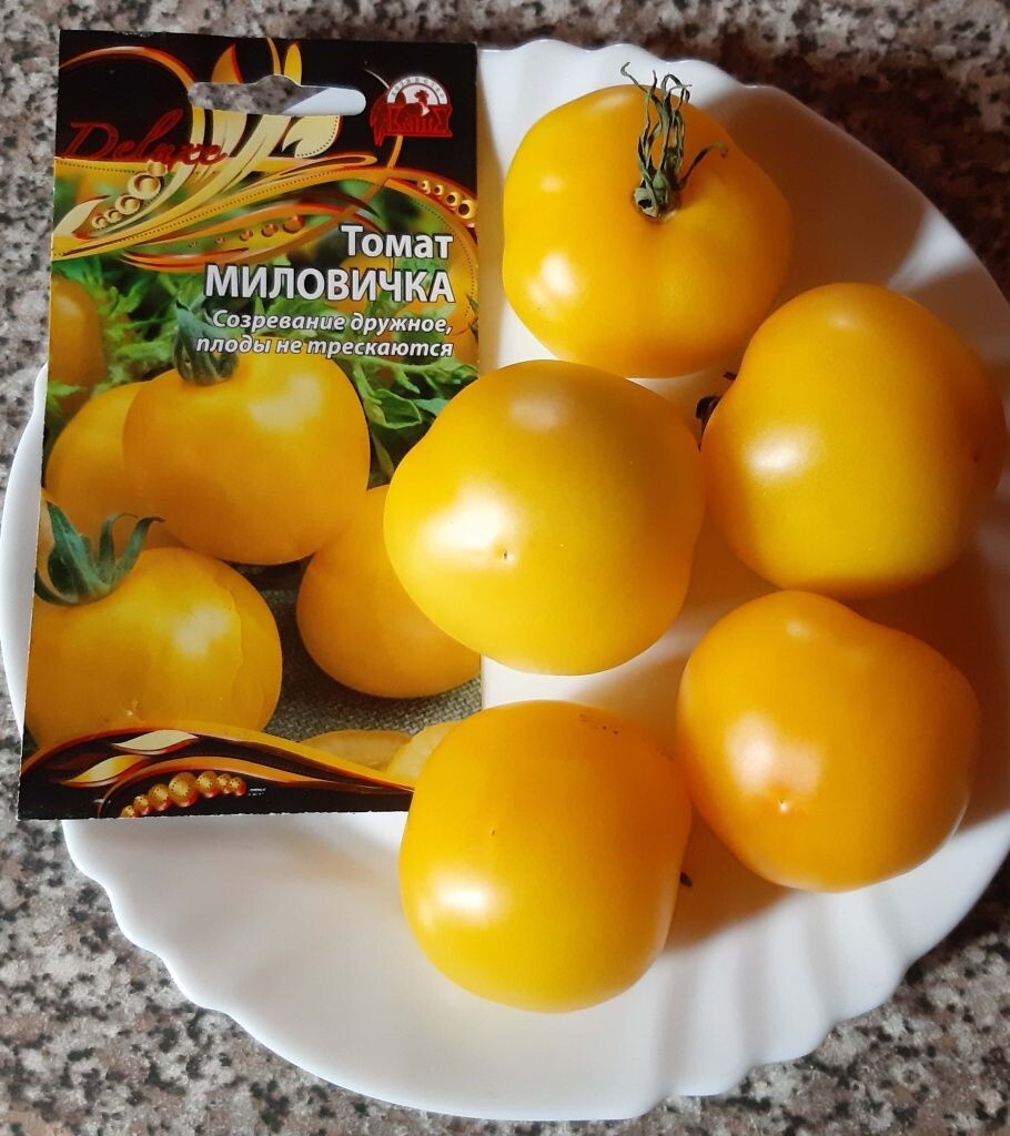  Томат Миловичка