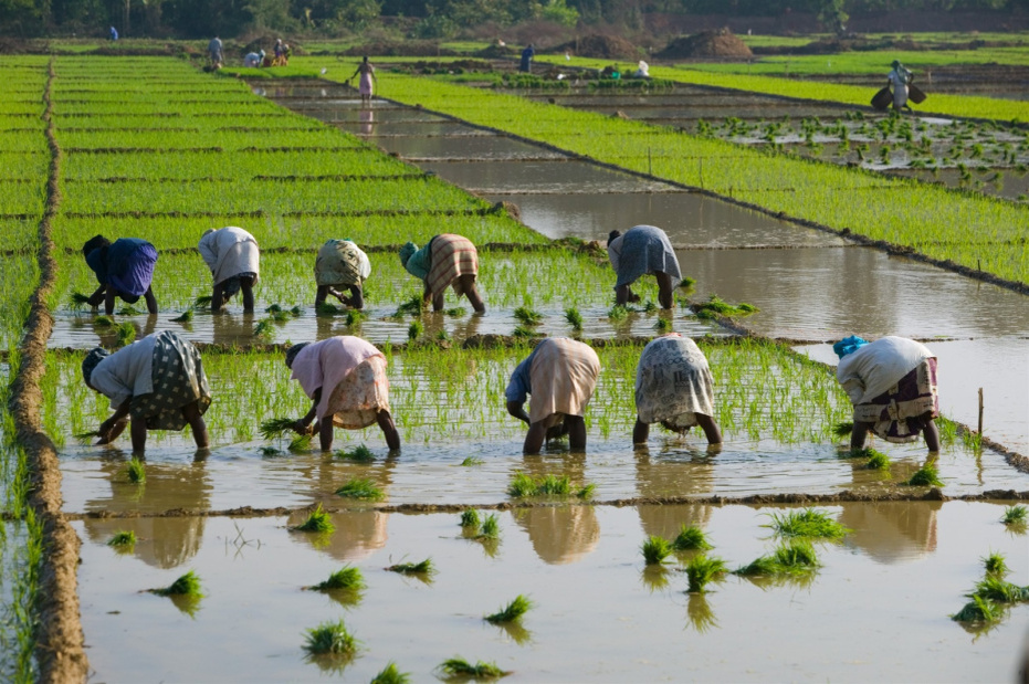    Walter Bibikow/Danita Delimont/Global Look Press
