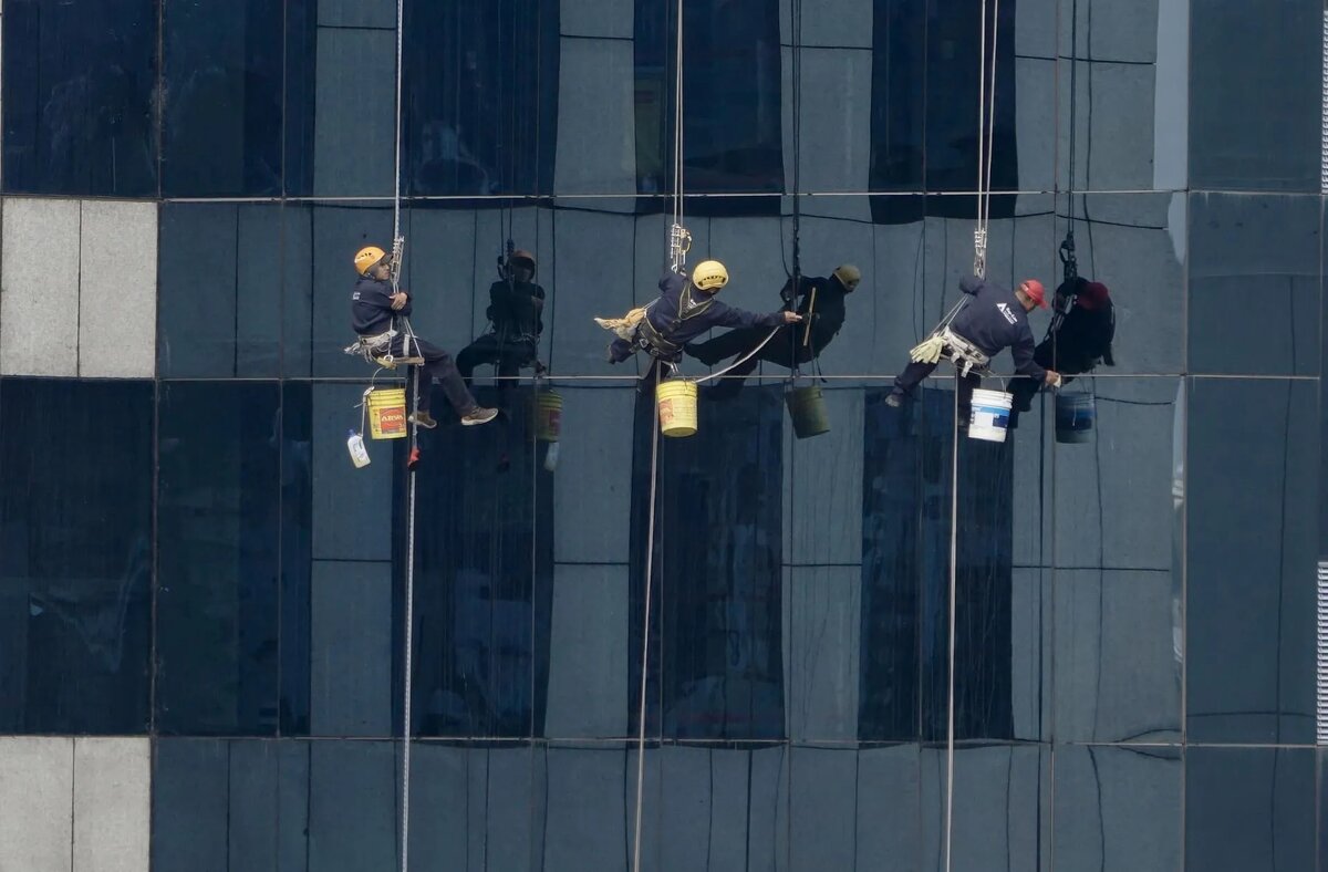 Фото: Ortega Ulloa / pixabay.com