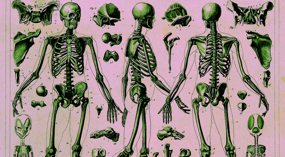   Wellcome Collection / CC-BY-4.0