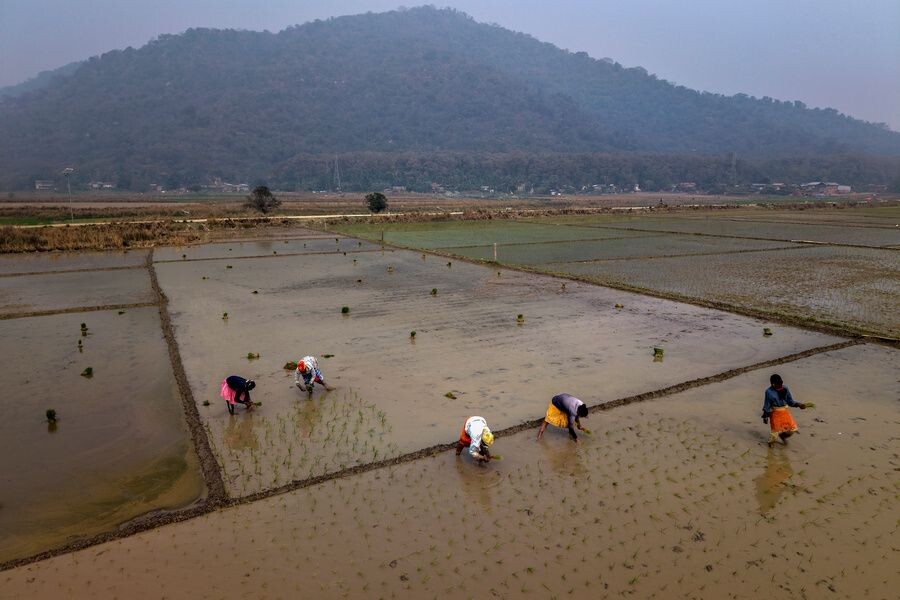     / Источник: © Anupam Nath/AP/TASS