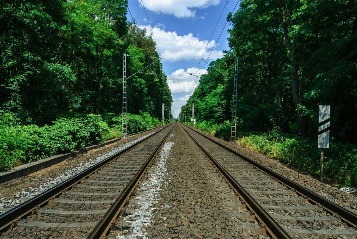    Дорога, уходящая вдаль — классический пример линейной перспективы / Фото: unsplash.com