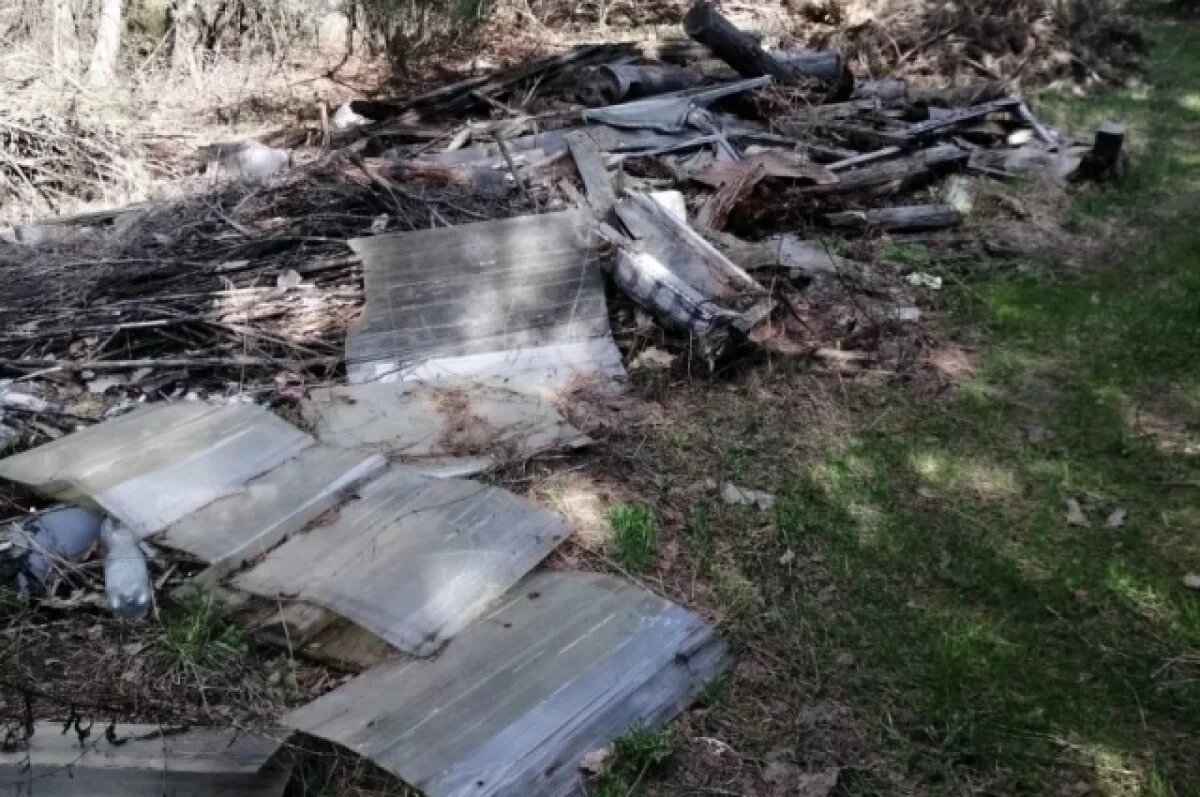    В лесу в Петушинском районе нашли свалку размером с теннисный корт