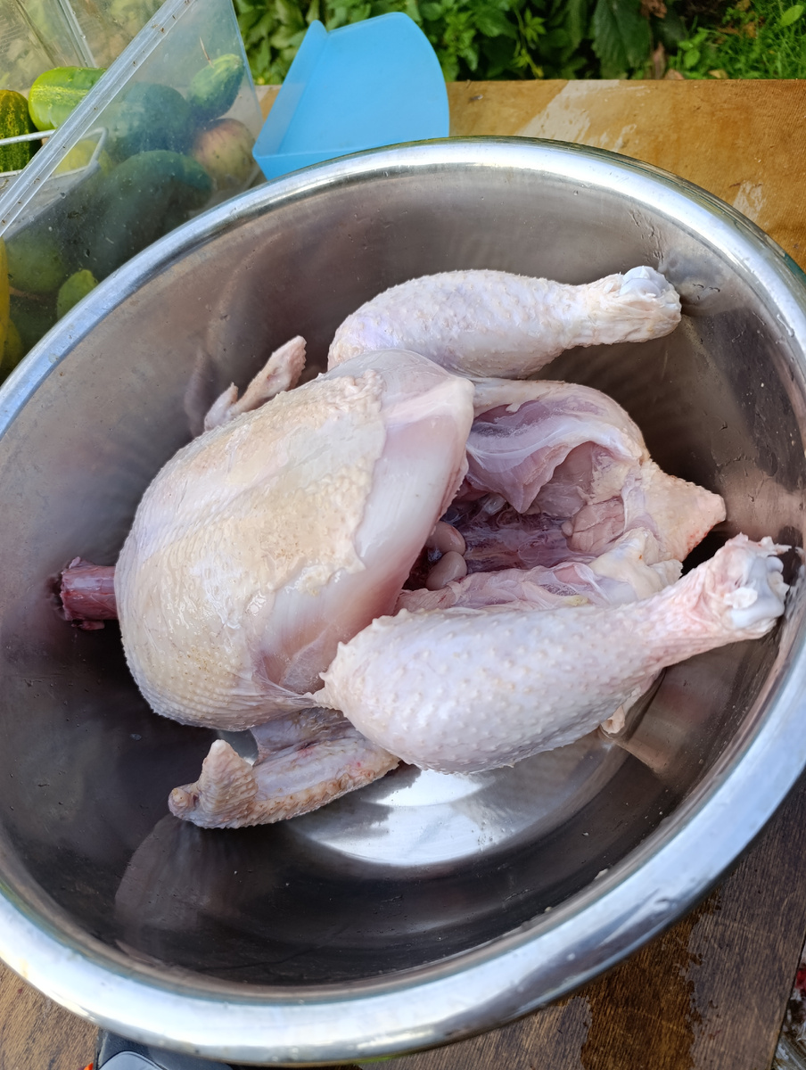 Дело сделано. У несушек больше нет, подающего большие надежды, соседа. 