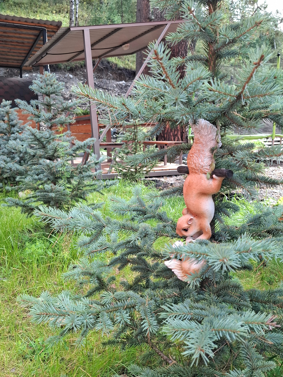 Прилагаю много фоток, чтобы все смогли прочувствовать уют этого места. Листаем ----->