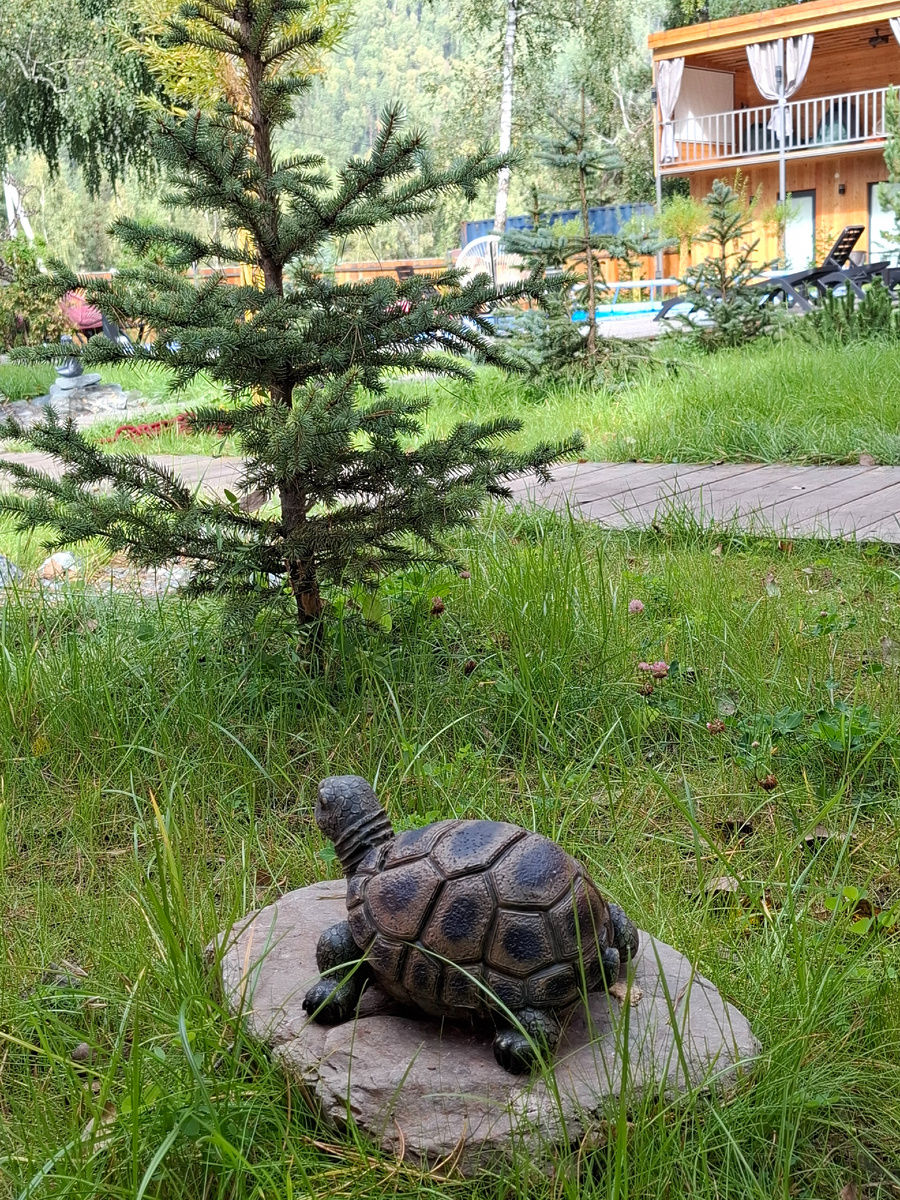 Прилагаю много фоток, чтобы все смогли прочувствовать уют этого места. Листаем ----->