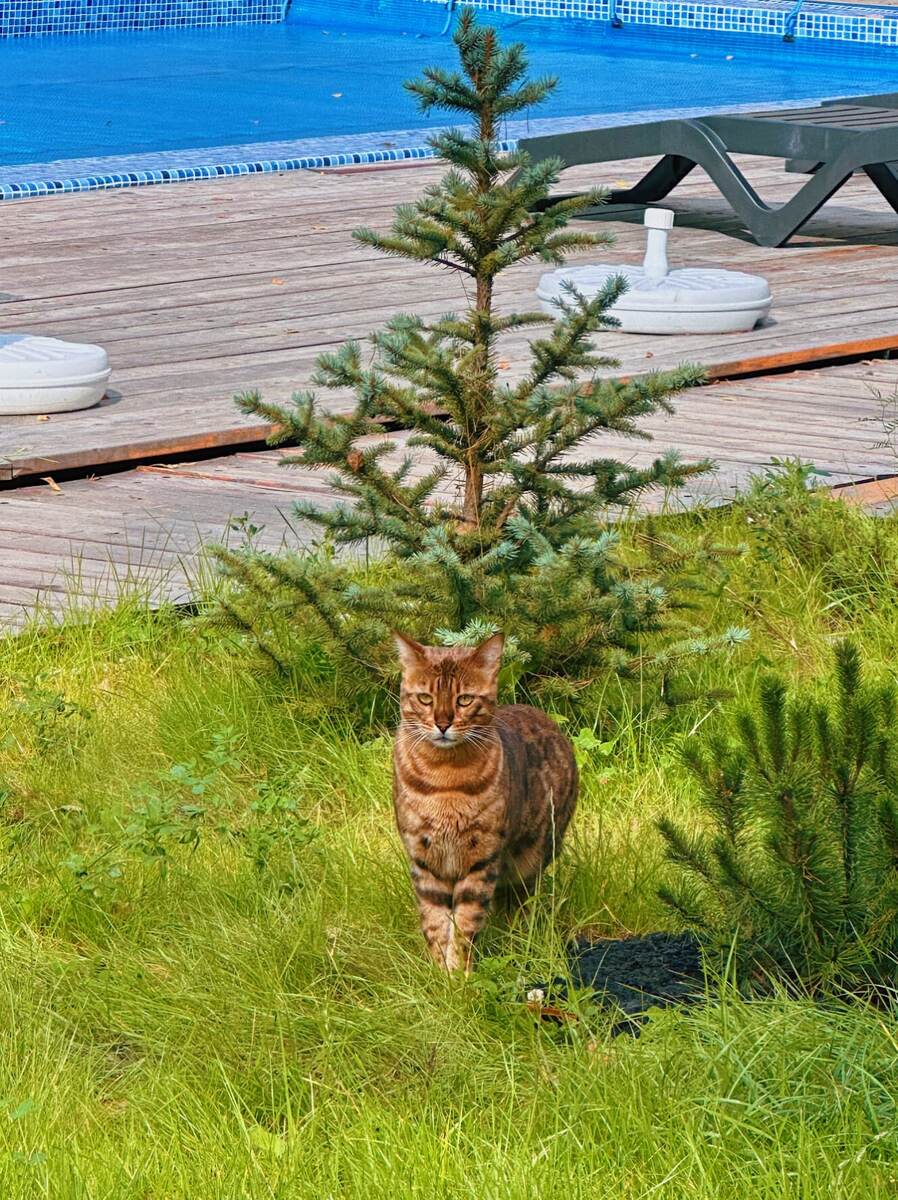 Прилагаю много фоток, чтобы все смогли прочувствовать уют этого места. Листаем ----->