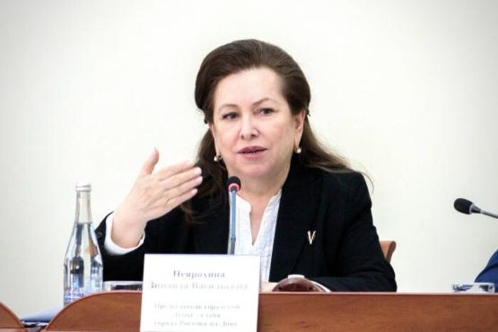 Иллюстрация: пресс-служба думы Ростова