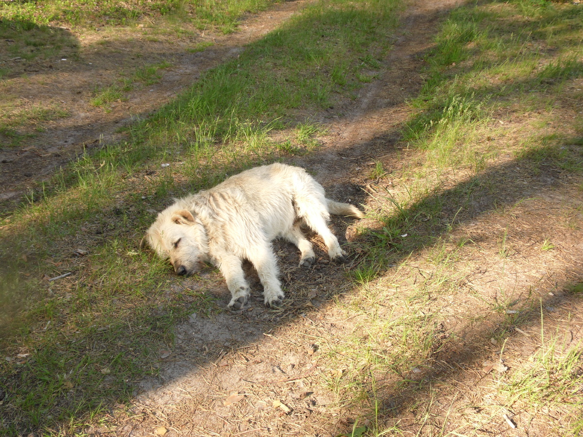 Но свежуий воздух - тоже зашибись, конечно. Обожаю ходить в походы со всей семьёй!