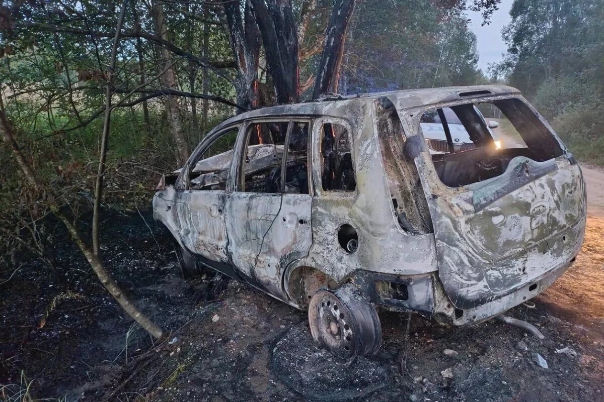    Пять человек погибли и 21 пострадал в ДТП на псковских дорогах за неделю