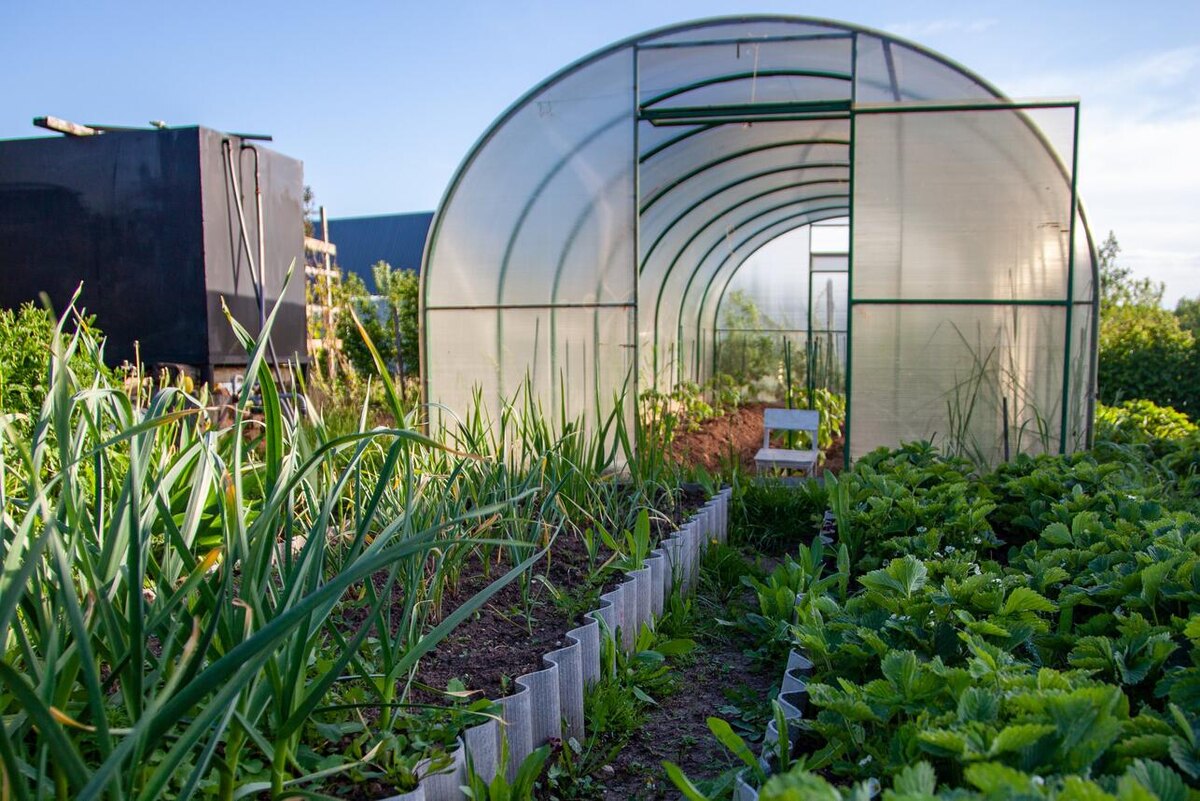     Oksana Korol/globallookpress.com