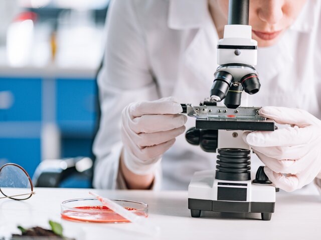    Фото: 123RF/lightfieldstudios