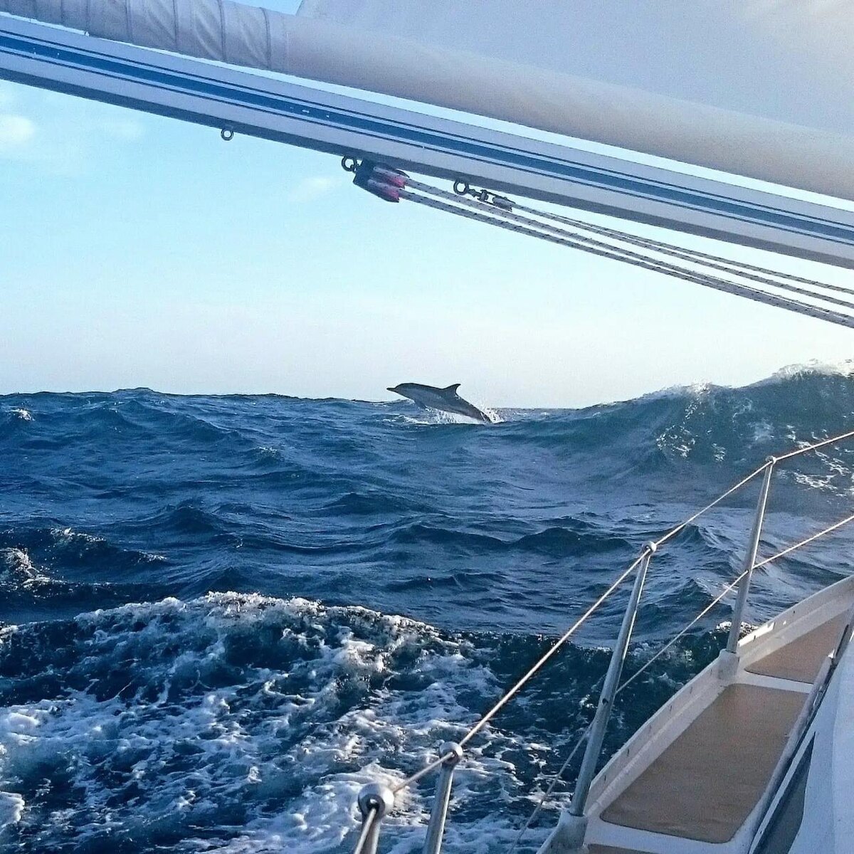 Фотография из youtube-канала Греле Le Magneau