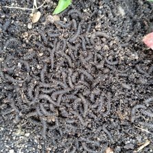    Фото: Павел Жирнов