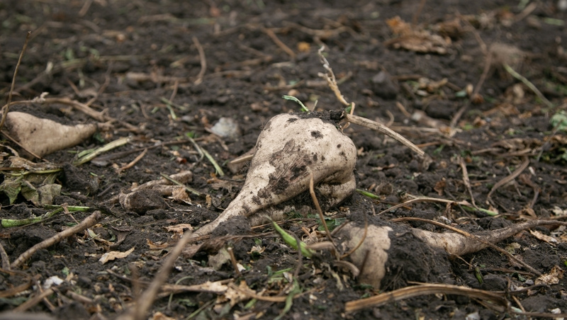      Фото: Валерия Алтухова / / ИА «Победа26»