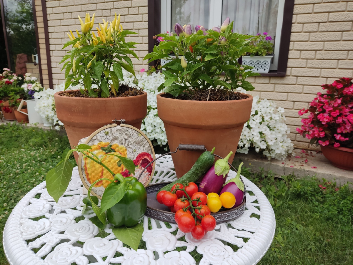 2024 год - открыла для себя декоративный перец