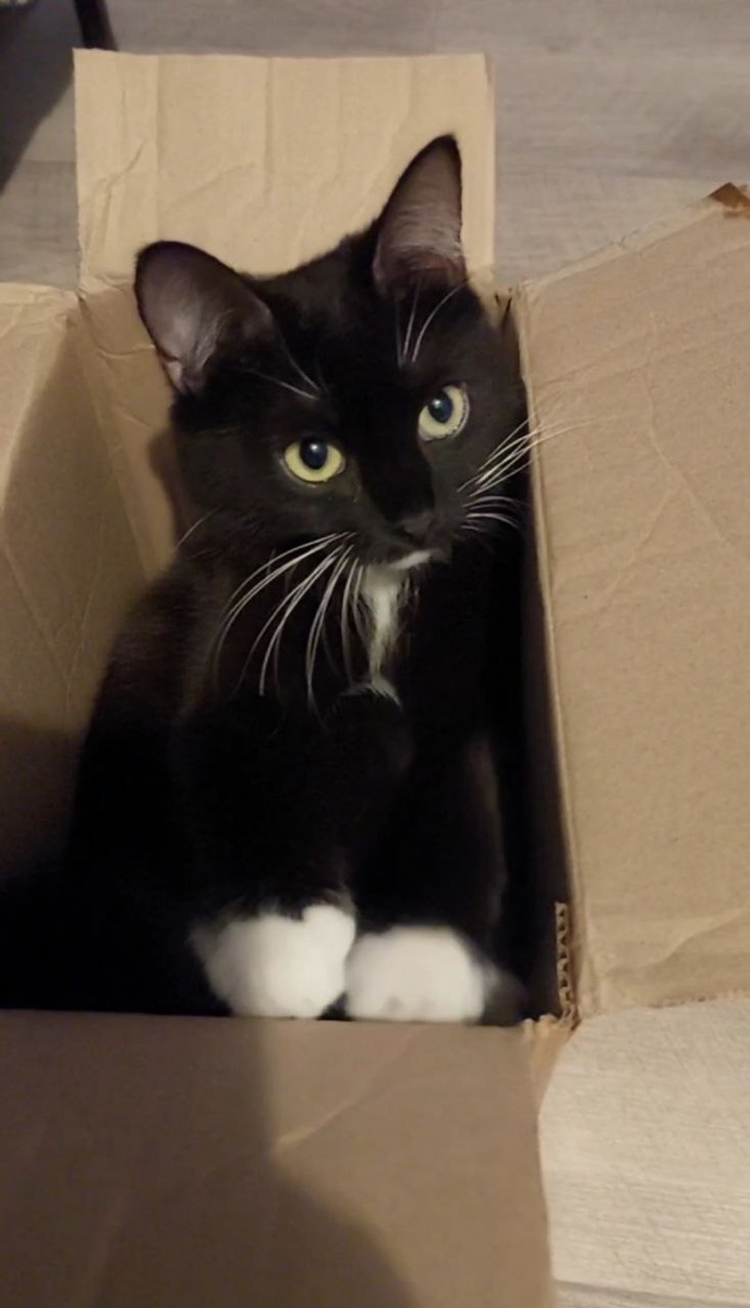 Сейчас будет сюрприз!