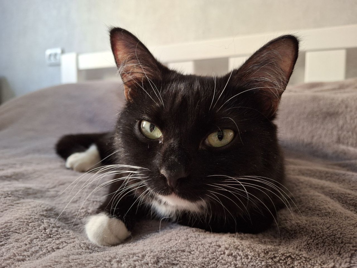 О чем и речь! Я в шоколаде!