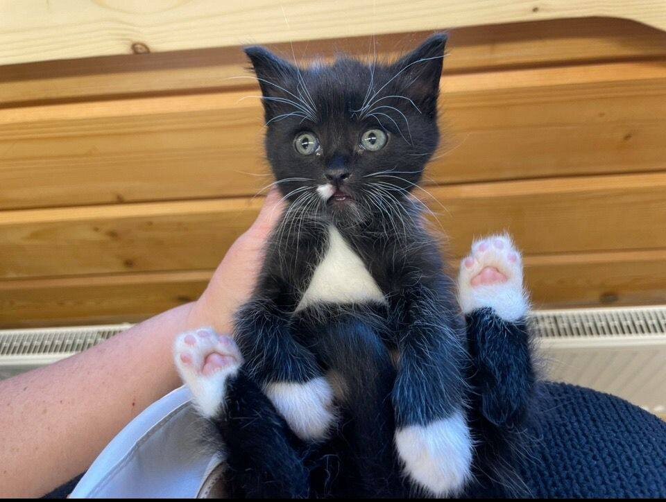 Куда это меня принесли?