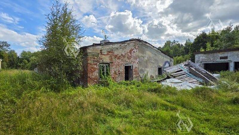    Фото: vk.com/kiospb