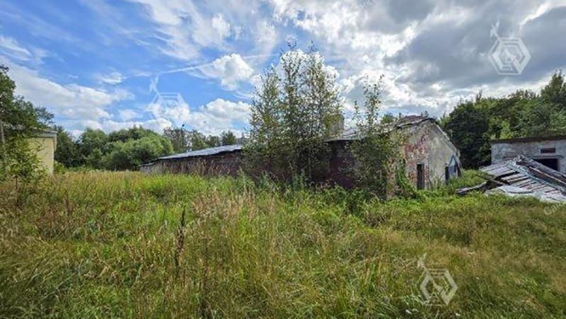    Фото: vk.com/kiospb