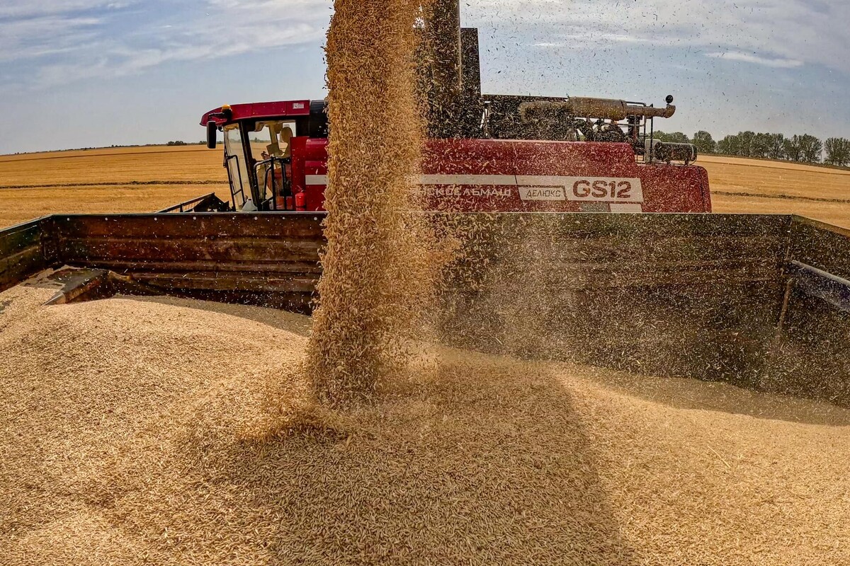    Фото: Минсельхоз России/ МинАПК Херсонской области