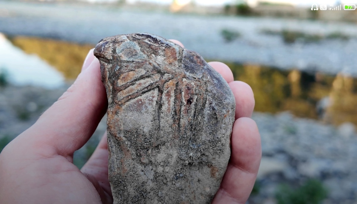 Предположительно, сидеритовая конкреция 