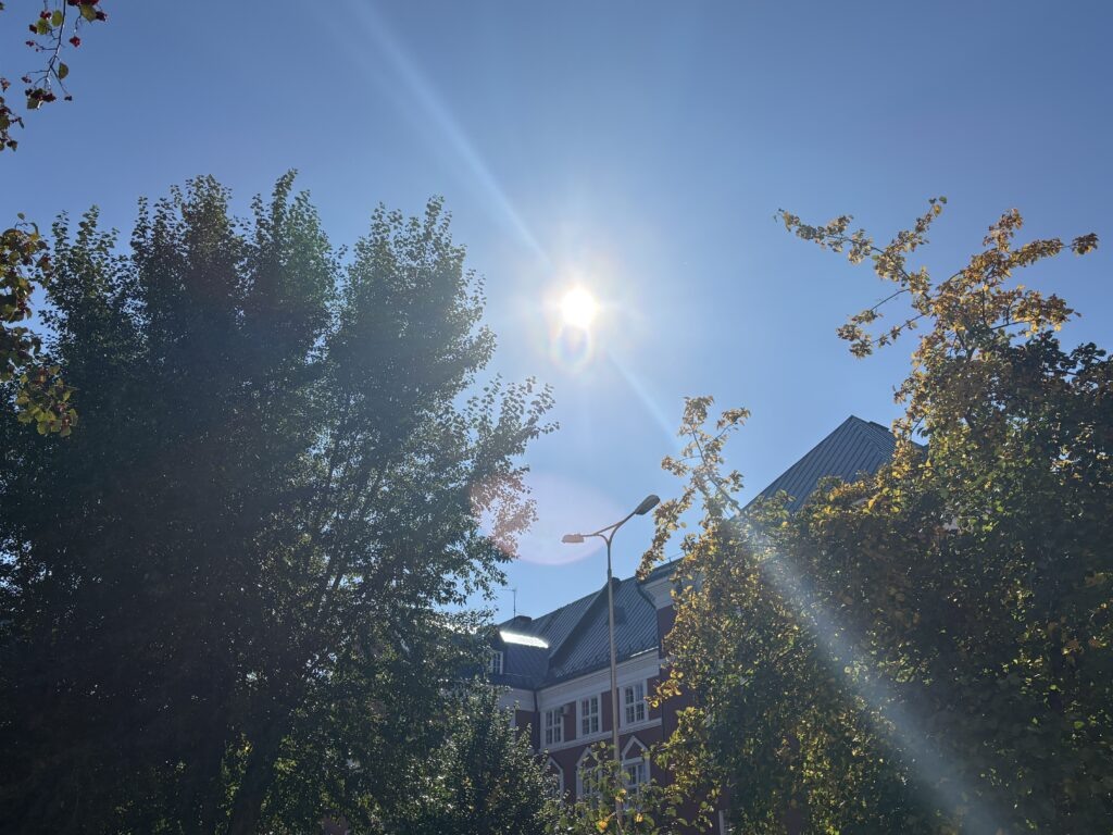    Фото: v-kurse.ru Ольга Гилёва