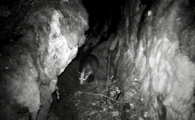    © Даниил Карпиченко