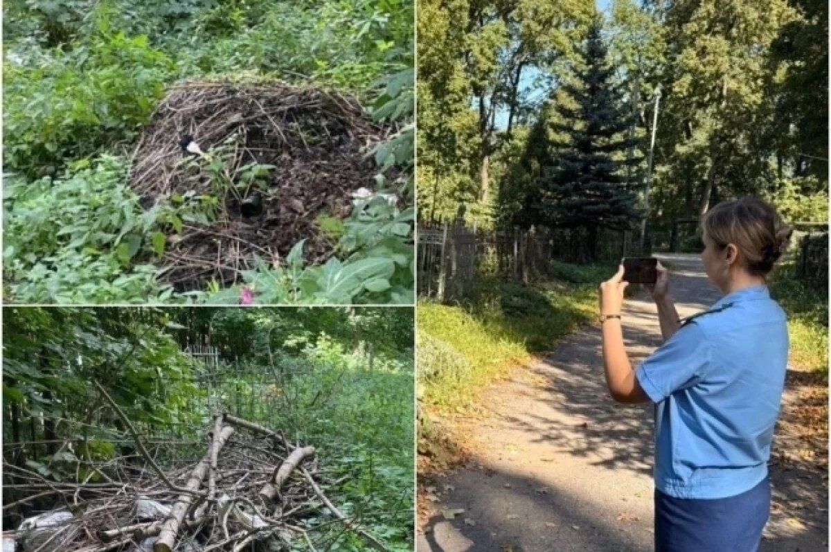    Прокуратура выявила захламление на Всехсвятском кладбище в Туле
